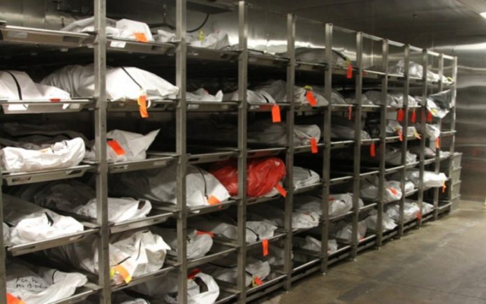 7993041542ef3d2aff63609b6e1b31f9_XL